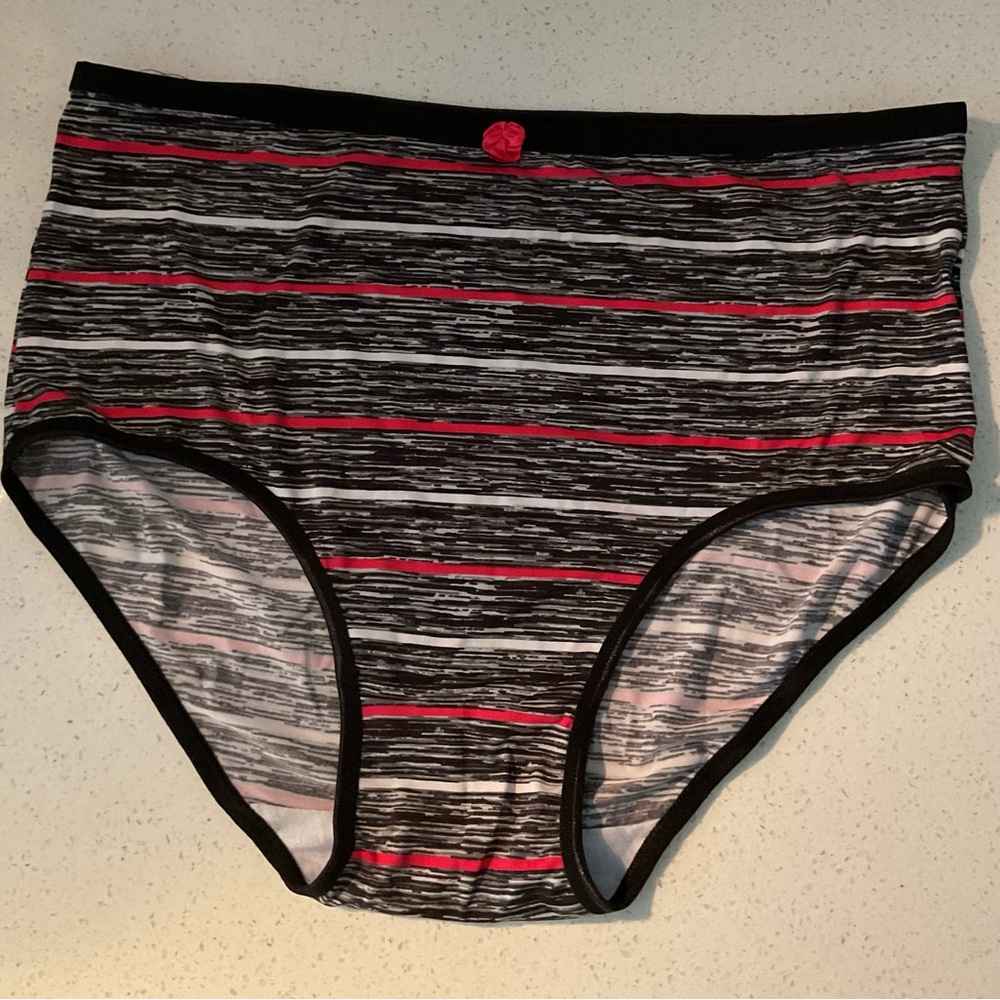 Women’s plus size briefs panties